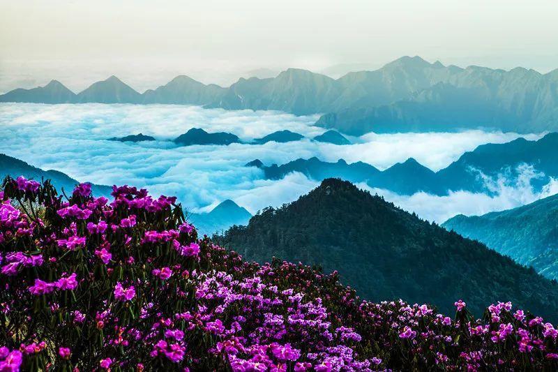 苏菲亚的休闲装