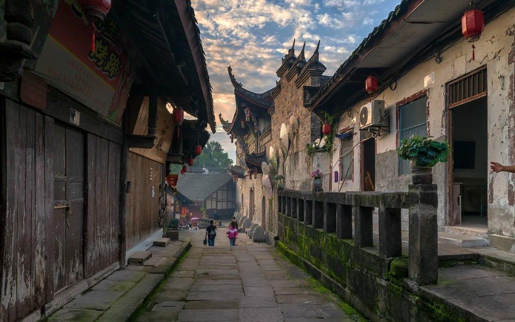 救援小巨鳄