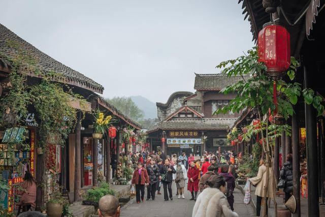 逃离野鸡森林